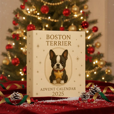 2025 „Świąteczny Kalendarz Adwentowy – Boston Terrier Edition”
