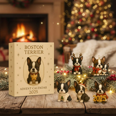 2025 „Świąteczny Kalendarz Adwentowy – Boston Terrier Edition”